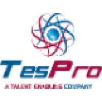 Tespro Systems Pvt. Ltd.
