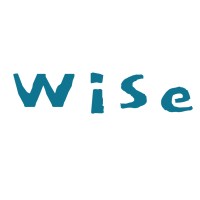 wiseDev logo - email format related to Dev Wise Studio