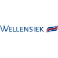 WELLENSIEK logo - Similar company to Recylex