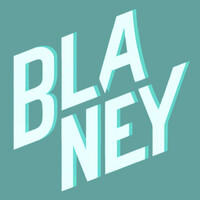Blaney logo - Similar company to Blaney Group