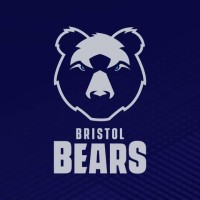 Bristol Bears logo - Similar company to Exeter Chiefs