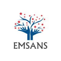 Emsans logo - Similar company to Plan-Analytics