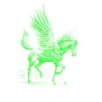 Pegasus Building Contracting Co. LLC logo - Similar company to Roof Plus