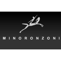 Minoronzoni Company logo - Similar company to Effegi Spa