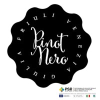 PINOT NERO FVG logo - Similar company to Beelike