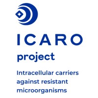 ICARO PROJECT logo - Similar company to Nano Cintech