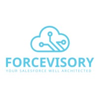ForceVisory BV logo - Similar company to Reditus