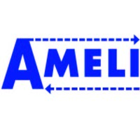 Ameli Srl-Gruppo Lumiplan logo - Similar company to Gruppo Amelio