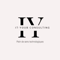 IT-Youb Consulting logo - Similar company to Solutions Mj