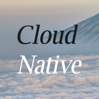 Cloud Native Consulting logo - Similar company to Cloud Native