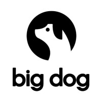Big Dog Digital logo - Similar company to Incontext Design