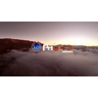 PHOENIX DRONES | LIVE logo - Similar company to Arch Drones