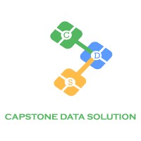 Capstone Data Solution logo - Similar company to Mindvision Infotech