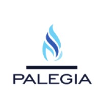 Palegia Technical Services Nig Ltd logo - Similar company to Atilc Learning Hub