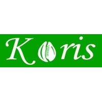 KORIS logo - Similar company to Koris International