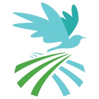 Bhumika Wellness Retreat logo - Similar company to Bemonk Wellness