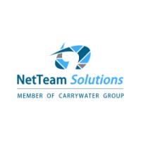 NetTeam Solutions S.A. logo - Similar company to Hireyour.Team