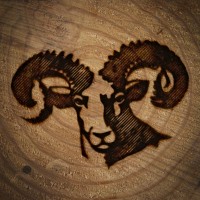Blacksheep Regenerative Resource Management logo - Similar company to Phi Alpha Delta At Uw Madison
