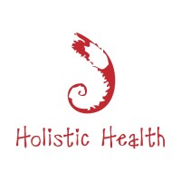 Holistic Health - Practitioners Support logo - Similar company to Five Lens Enneagram People Development