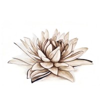 Snow Lotus - Institute for Mindfulness logo - Similar company to 8 Bit Cortex