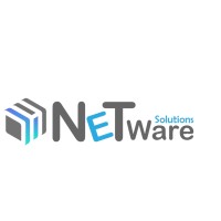 NetwareSolution logo - Similar company to Excelorithm