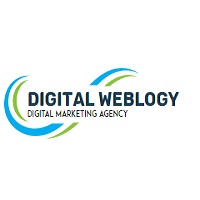 Digital Weblogy pvt ltd logo - Similar company to Digital Hub Point