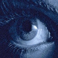 NIRMANI Solutions (Private) Limited logo - Similar company to Cybergate Linux Academy