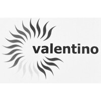 Valentino Tosi srl logo - Similar company to Bennati Srl Società Benefit