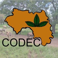 CODEC-Guinée logo - Similar company to Ags Group-Sarl