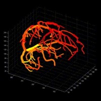 UC Davis Department of Neurology logo - Similar company to Uc Davis Mxr