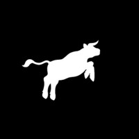 Steer logo - Similar company to Pate Beef Jerky