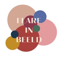 Flare in Beeld logo - Similar company to Buro Noorderlingen