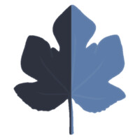 A.A.Figueiredo Ltda. 🇧🇷🇵🇹 logo - Similar company to Audatia