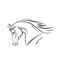 Scott Dunn's Equine Clinic logo - Similar company to Seadown Veterinary Services Ltd