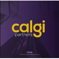 Calgi Partners logo - Similar company to Smartlink Technologies Co.