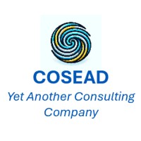 Cosead srl logo - Similar company to Bmp Consulting