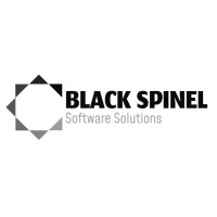 BLACK SPINELS logo - Similar company to Financial Experts