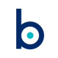 BlueMedian logo - Similar company to Build To Serve