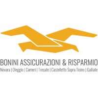Bonini Assicurazioni & Risparmio logo - Similar company to Assiservice 2.0