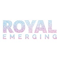 Royal Emerging logo - Similar company to Data Majority