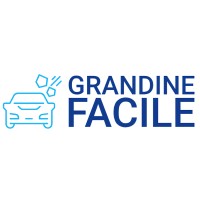 GRANDINE FACILE logo - Similar company to Controlauto