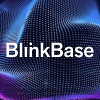 BlinkBase – Decoding Opaque Markets logo - Similar company to Nightpass