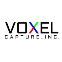 Voxel Capture