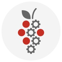 BERGER VITI VINI logo - Similar company to Cefinox Sas