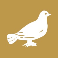 The Siasat Daily logo - Similar company to Technotots