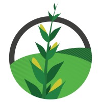 Field Progress Education Consulting, Llc