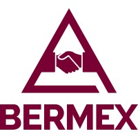 Bermex logo - Similar company to Acrt