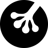 Lemonfrog AG logo - Similar company to Wisbits