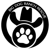 Big Dog Ranch Rescue