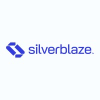 Silverblaze Solutions logo - Similar company to Partner Software